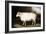 Cotswold Sheep-Porter Design-Framed Giclee Print