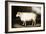 Cotswold Sheep-Porter Design-Framed Giclee Print