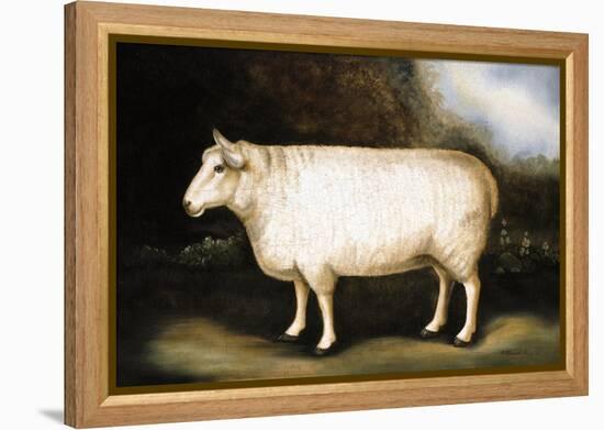 Cotswold Sheep-Porter Design-Framed Premier Image Canvas