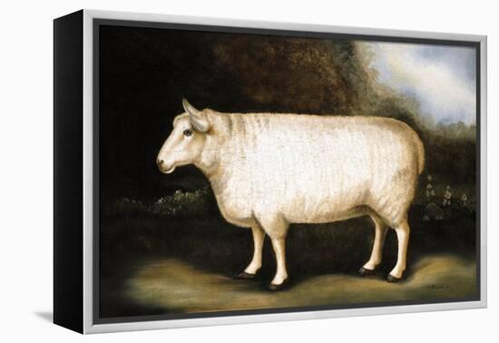 Cotswold Sheep-Porter Design-Framed Premier Image Canvas