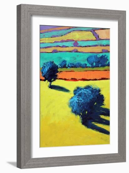 Cotswold Way close up 1-Paul Powis-Framed Giclee Print