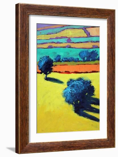 Cotswold Way close up 1-Paul Powis-Framed Giclee Print