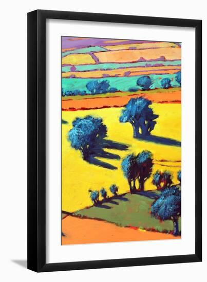 Cotswold Way close up 2-Paul Powis-Framed Giclee Print