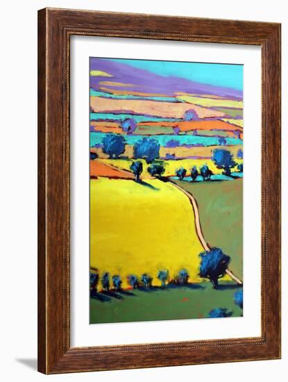 Cotswold Way close up 7-Paul Powis-Framed Giclee Print