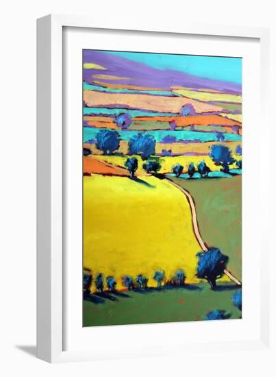 Cotswold Way close up 7-Paul Powis-Framed Giclee Print
