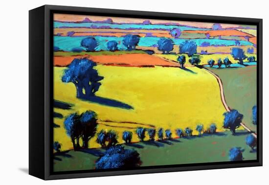 Cotswold Way close up-Paul Powis-Framed Premier Image Canvas