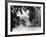 Cotswolds 1935-Bernard Alfieri-Framed Photographic Print