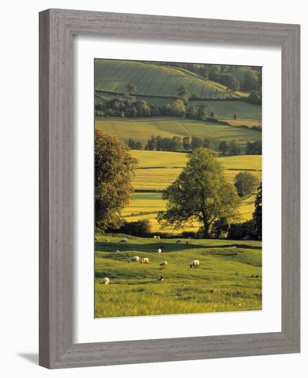 Cotswolds, England-Jon Arnold-Framed Photographic Print