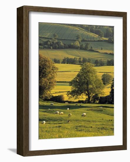 Cotswolds, England-Jon Arnold-Framed Photographic Print