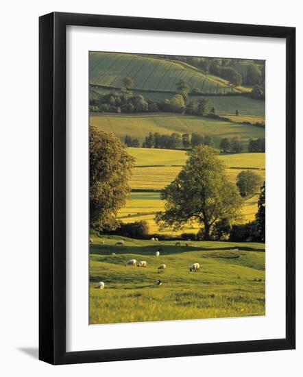 Cotswolds, England-Jon Arnold-Framed Photographic Print