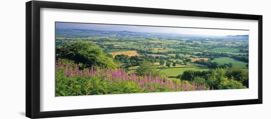Cotswolds, Gloucestershire, England-Peter Adams-Framed Photographic Print