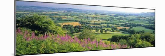 Cotswolds, Gloucestershire, England-Peter Adams-Mounted Photographic Print