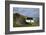 Cottage and Deserted Cottages on Great Blasket Island, the Blasket Islands-null-Framed Photographic Print