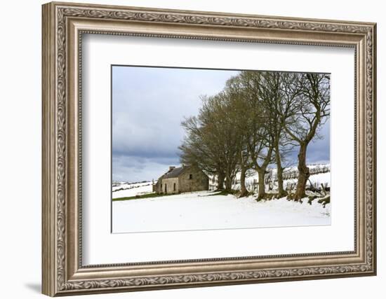 Cottage and trees, Torr Head, County Antrim, Ulster, Northern Ireland, United Kingdom, Europe-Carsten Krieger-Framed Photographic Print