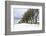 Cottage and trees, Torr Head, County Antrim, Ulster, Northern Ireland, United Kingdom, Europe-Carsten Krieger-Framed Photographic Print