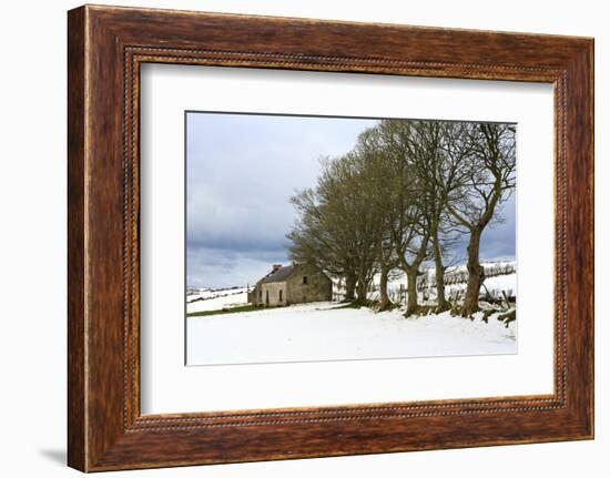 Cottage and trees, Torr Head, County Antrim, Ulster, Northern Ireland, United Kingdom, Europe-Carsten Krieger-Framed Photographic Print