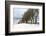 Cottage and trees, Torr Head, County Antrim, Ulster, Northern Ireland, United Kingdom, Europe-Carsten Krieger-Framed Photographic Print