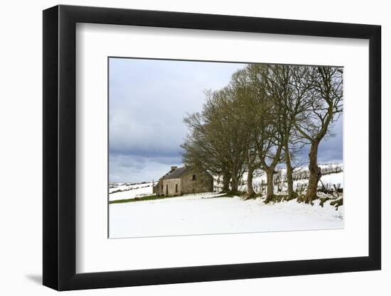 Cottage and trees, Torr Head, County Antrim, Ulster, Northern Ireland, United Kingdom, Europe-Carsten Krieger-Framed Photographic Print