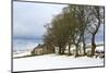 Cottage and trees, Torr Head, County Antrim, Ulster, Northern Ireland, United Kingdom, Europe-Carsten Krieger-Mounted Photographic Print
