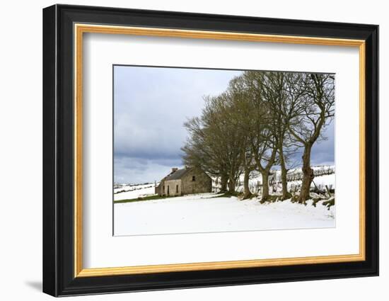 Cottage and trees, Torr Head, County Antrim, Ulster, Northern Ireland, United Kingdom, Europe-Carsten Krieger-Framed Photographic Print