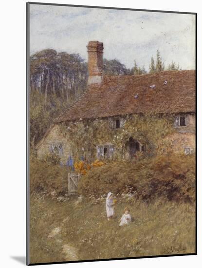 Cottage at Witley, Surrey, 19th Century-Helen Allingham-Mounted Giclee Print