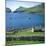 Cottage Beside Village Bay, St. Kilda, Western Isles, Outer Hebrides, Scotland, United Kingdom-David Lomax-Mounted Photographic Print