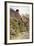 Cottage Door, Elmley Castle, Worcester-Alfred Robert Quinton-Framed Giclee Print