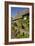Cottage England-Charles Bowman-Framed Photographic Print