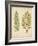 Cottage Ferns II-Edward Lowe-Framed Art Print