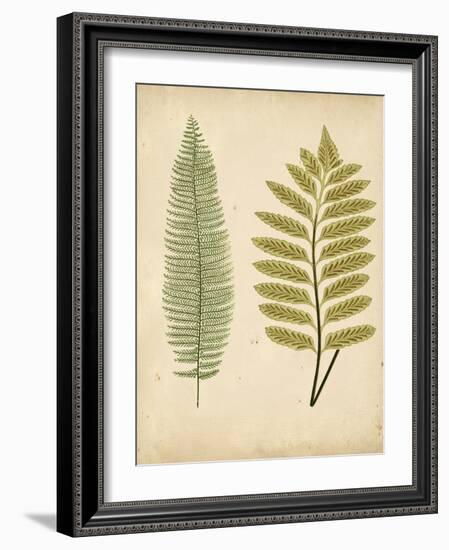 Cottage Ferns II-Edward Lowe-Framed Art Print