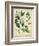 Cottage Florals I-Sydenham Teast Edwards-Framed Art Print