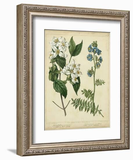 Cottage Florals I-Sydenham Teast Edwards-Framed Art Print