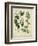 Cottage Florals I-Sydenham Teast Edwards-Framed Art Print