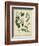 Cottage Florals I-Sydenham Teast Edwards-Framed Art Print