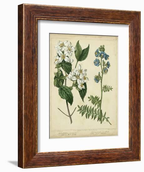 Cottage Florals I-Sydenham Teast Edwards-Framed Art Print