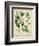 Cottage Florals I-Sydenham Teast Edwards-Framed Art Print