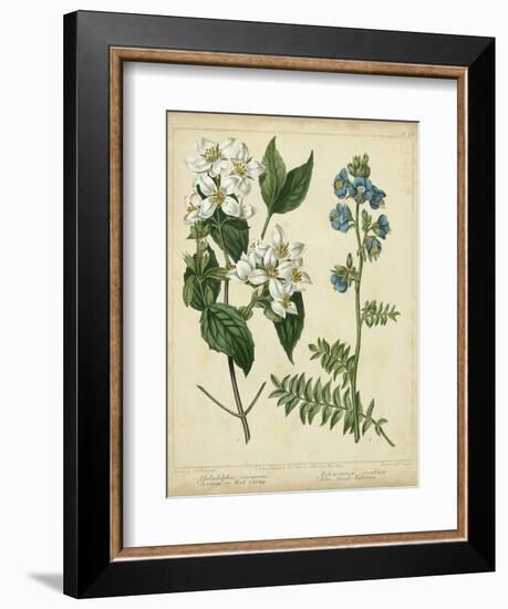 Cottage Florals I-Sydenham Teast Edwards-Framed Art Print