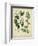 Cottage Florals I-Sydenham Teast Edwards-Framed Art Print