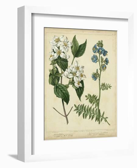 Cottage Florals I-Sydenham Teast Edwards-Framed Art Print