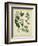 Cottage Florals I-Sydenham Teast Edwards-Framed Art Print