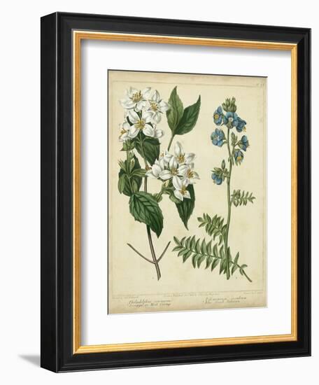 Cottage Florals I-Sydenham Teast Edwards-Framed Art Print