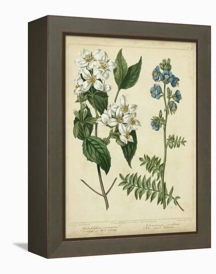 Cottage Florals I-Sydenham Teast Edwards-Framed Stretched Canvas