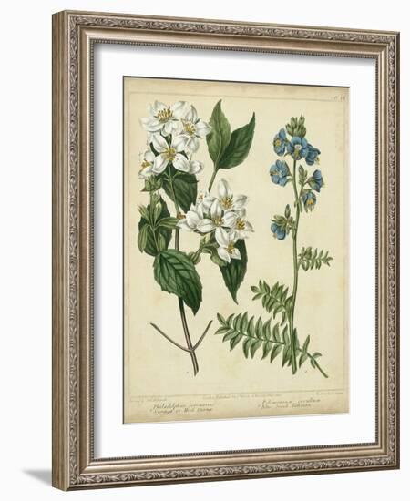 Cottage Florals I-Sydenham Teast Edwards-Framed Art Print