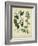 Cottage Florals I-Sydenham Teast Edwards-Framed Art Print