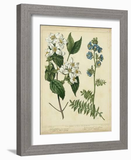 Cottage Florals I-Sydenham Teast Edwards-Framed Art Print