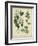 Cottage Florals I-Sydenham Teast Edwards-Framed Art Print