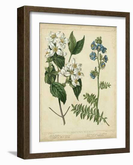 Cottage Florals I-Sydenham Teast Edwards-Framed Art Print