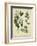 Cottage Florals I-Sydenham Teast Edwards-Framed Art Print