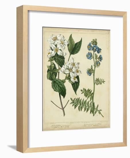 Cottage Florals I-Sydenham Teast Edwards-Framed Art Print