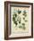 Cottage Florals I-Sydenham Teast Edwards-Framed Art Print